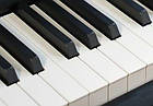 Цифрове піаніно KAWAI CA-401 R, фото 4