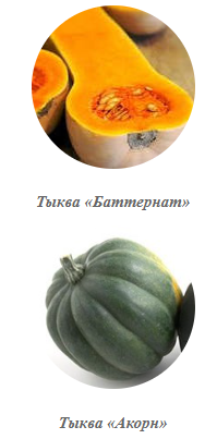 vubor sortov tukvu tukva