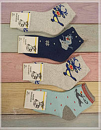 Шкарпетки дитячі Friendly Socks 4031022-001 сер. махра різні кольори р.22 (уп.12 пар)
