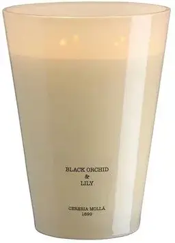 Ароматична свічка Cereria Molla Чорна Орхідея та Лілія 7000 г E1617066