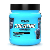 Креатин моногидрат Evolite Nutrition Creatine Monohydrate (500 g, апельсин)