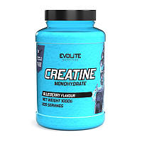 Креатин моногидрат Evolite Nutrition Creatine Monohydrate (1 kg, strawberry)