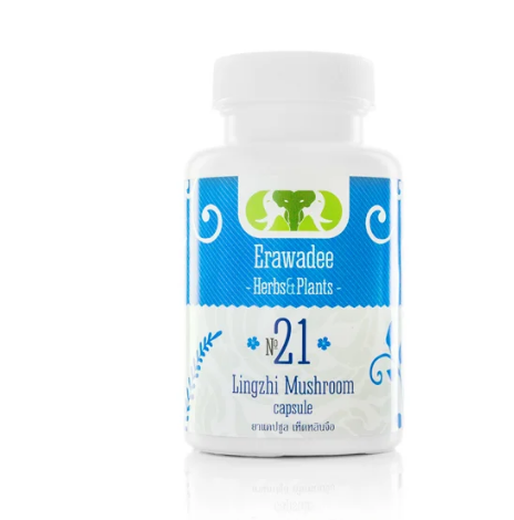 №21 Erawadee Lingzhi Гриб Гриб Лінчжі (Гриб Рейши) Онкопротектор 100 шт, фото 1
