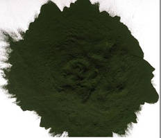 Хлорела  мікронізована (пудра) 1кг