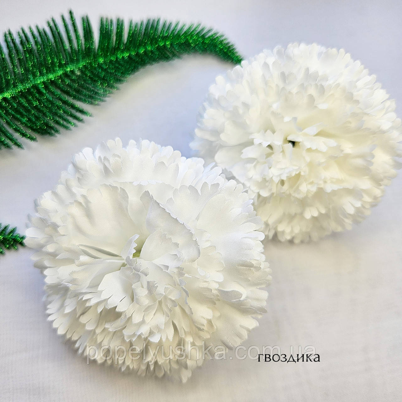 Головка гвоздики біла, 9 см, фото 1