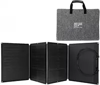 Фотоелектрична панель Ecoflow 160 Вт для електростанції Delta River