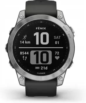 Смарт-годинник GARMIN Fenix 7 Silver-grey (100254001)