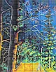 Набір для вишивання за нанесеною на канву схемою "Northen lights ".AIDA 14CT printed , 54*40 см, фото 5