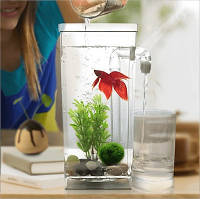 Самоочищающийся аквариум для рыбок - My Fun Fish! Идеально