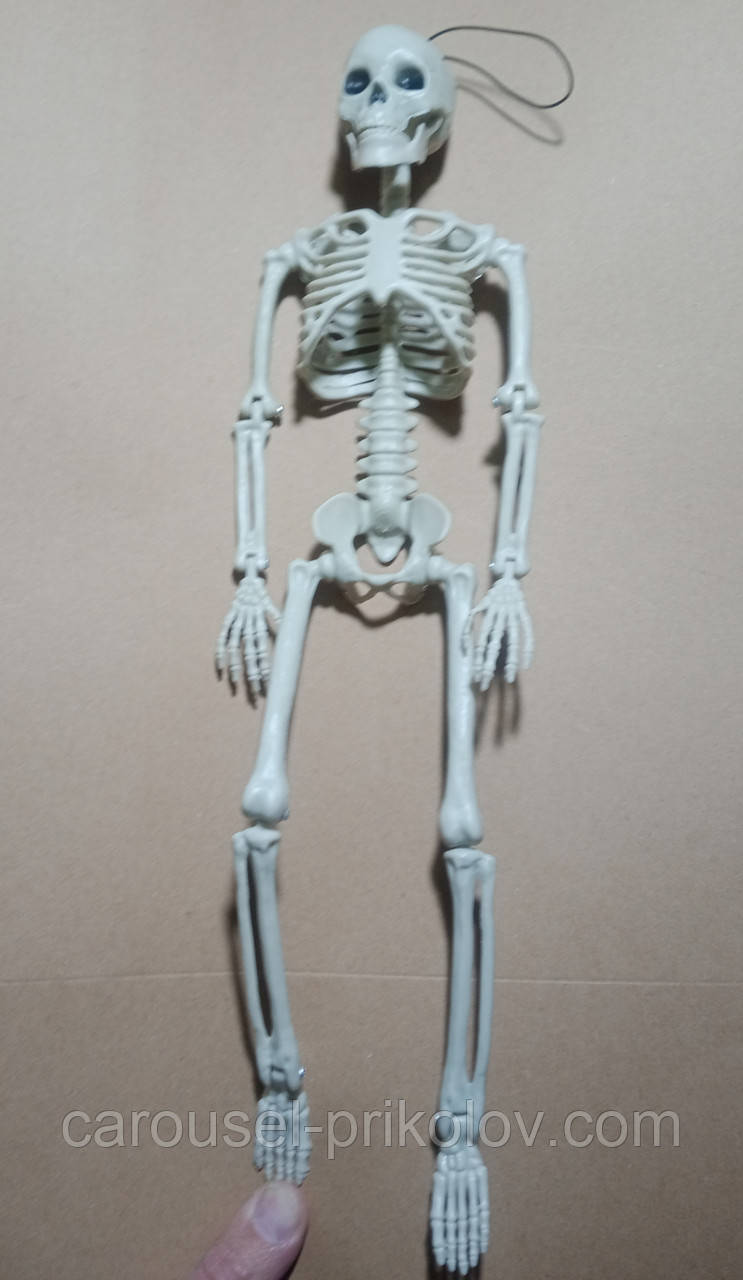 Скелет на шарнірах 39 см, фото 1