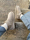 Уггі жіночі зимові сірі UGG Ultra Mini Milk (10010), фото 9