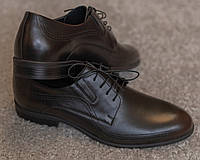 Обирай найкраще! Чоловічі коричневі туфлі 39, 43 та 45 розміри