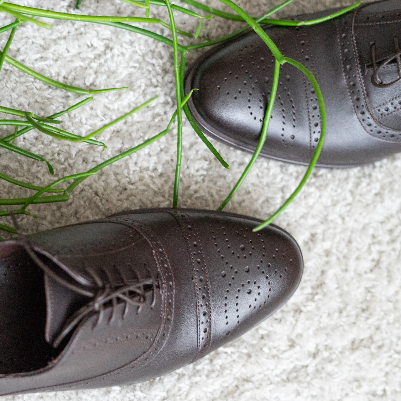 Коричеві Броги - це тренд сезону! Обірай прямо тут!, фото 1