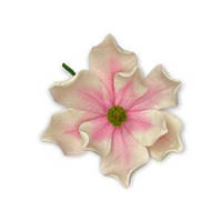 Цукрові квіти "Магнолія Преміум моно" тонована рожева