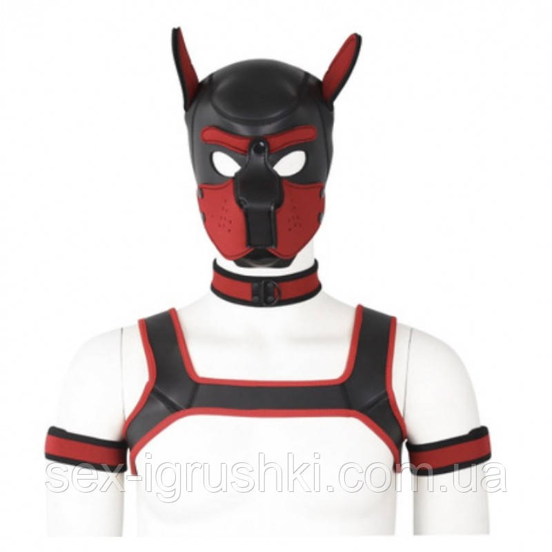 Комплект для гри в раба Dog Bondage Gear Kit Gray, серый