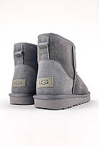 Зимові Жіночі Черевики UGG Classic Mini Suede Grey / УГГ Класік Міні Суейд Сірі, фото 4