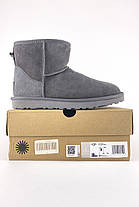 Зимові Жіночі Черевики UGG Classic Mini Suede Grey / УГГ Класік Міні Суейд Сірі, фото 3