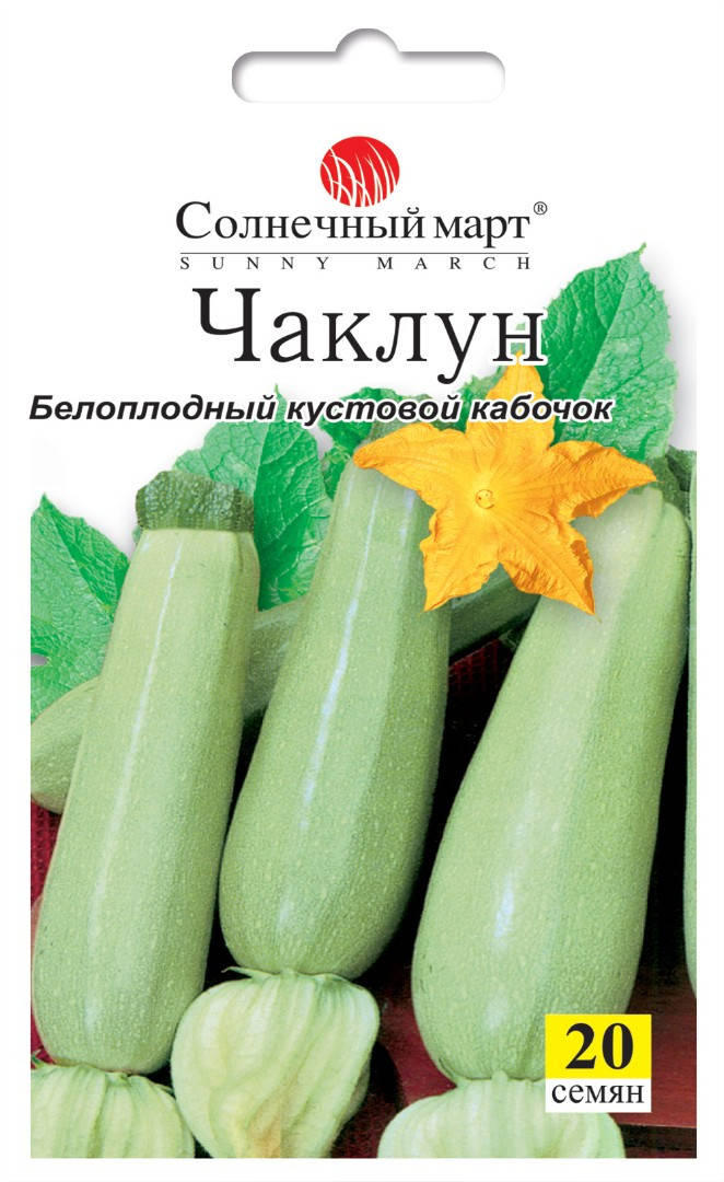 

Кабачок Чаклун, 20шт.