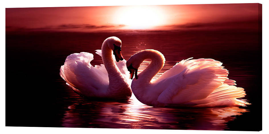 

Картина на холсте Декор Карпаты Лебеди 50х100 см (z3)