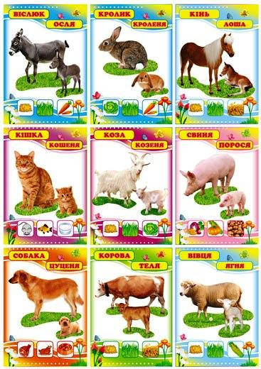 

Комплект карточек 9 шт. "Домашні тварини" Км.-070