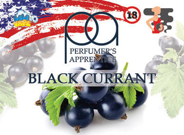

Black Currant ароматизатор TPA (Смородина чёрная) 30мл