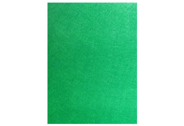 

Фетр листовий 20*30см, 1мм темно-зелений (20шт/уп)
