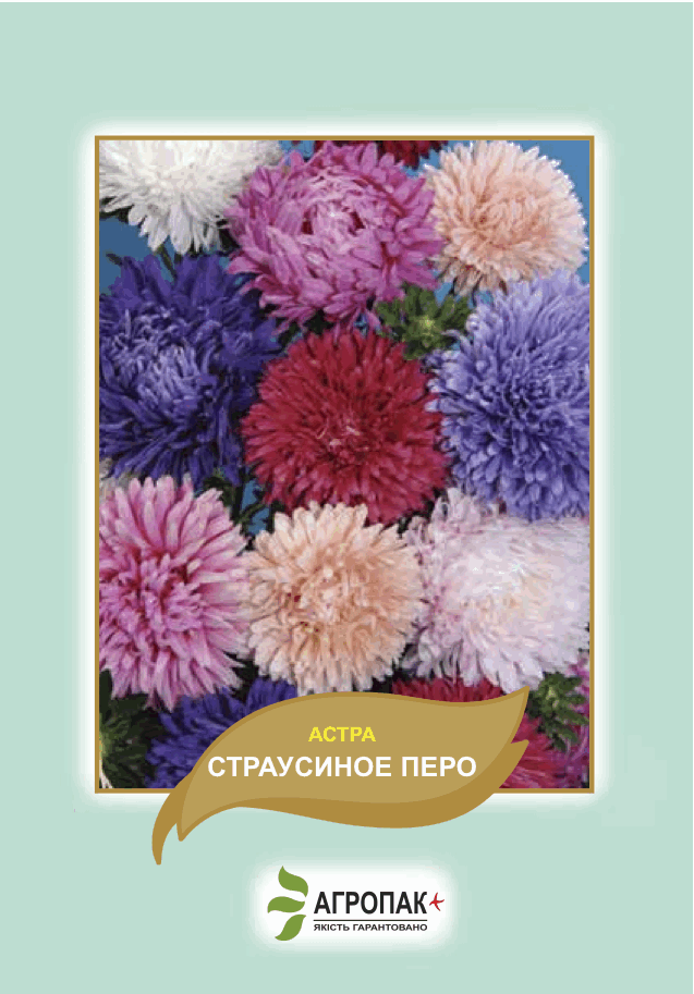 

Семена астра Страусиное перо Агропак плюс, Разные цвета