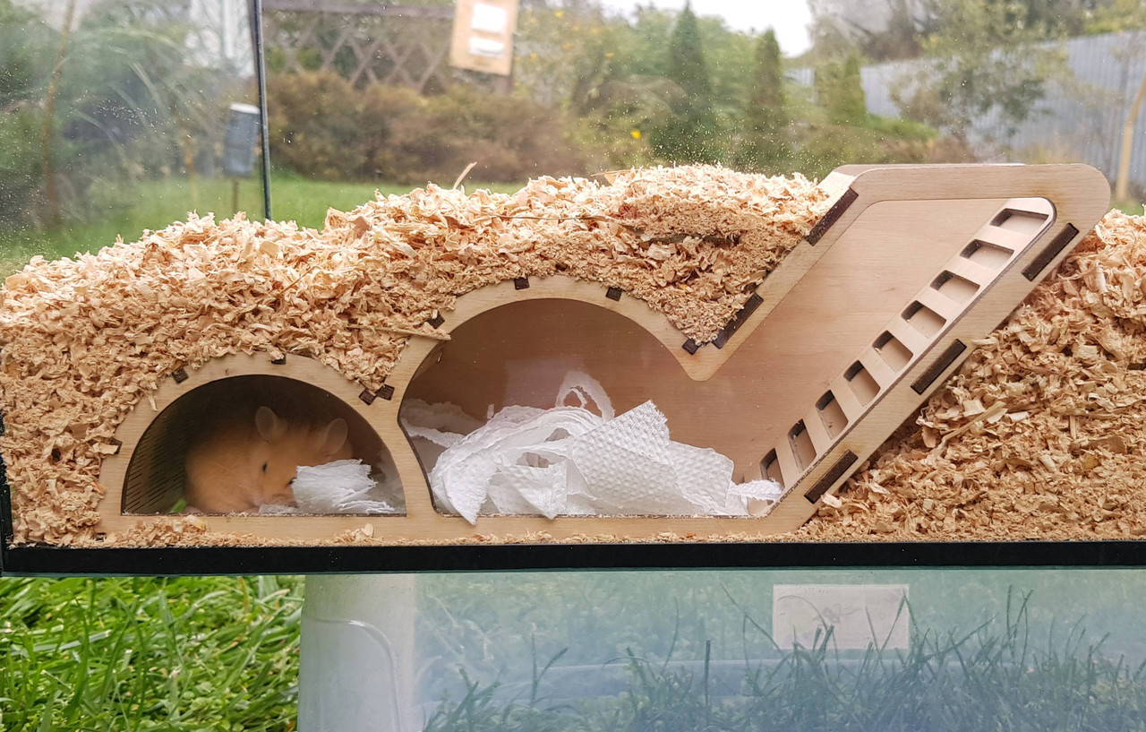 

Норка хомякам 350х190х100мм tty-fz00009