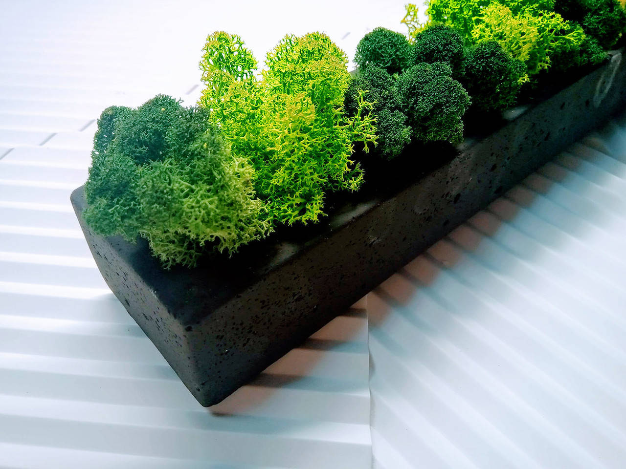 

Бетонное кашпо со стабилизированным мхом