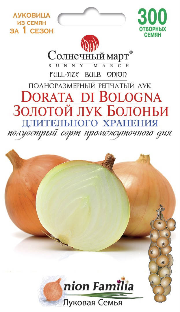 

Лук Золотой лук Болоньи, 300шт.
