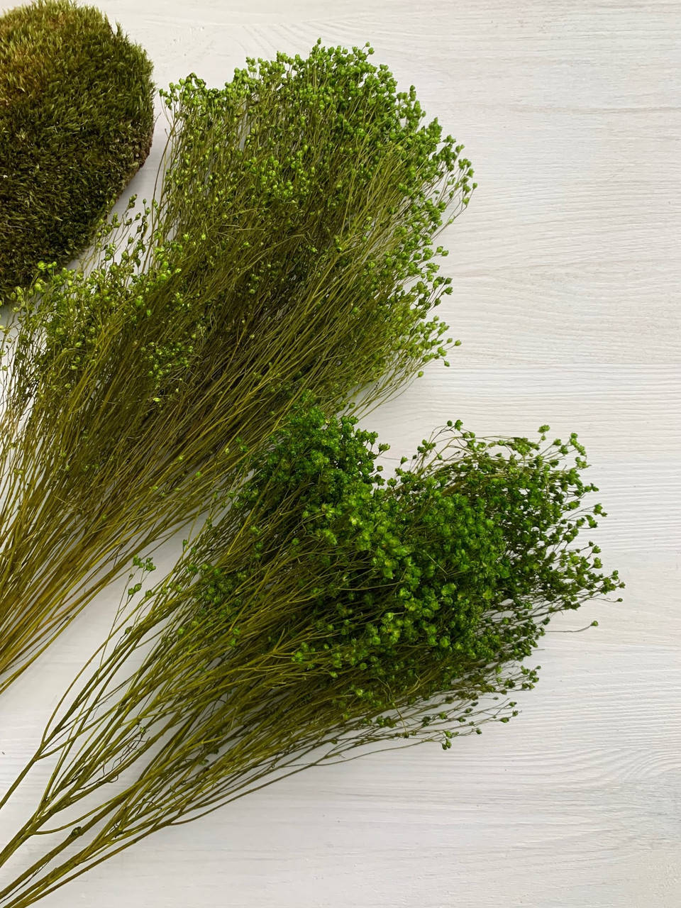 

Брум блум зеленый