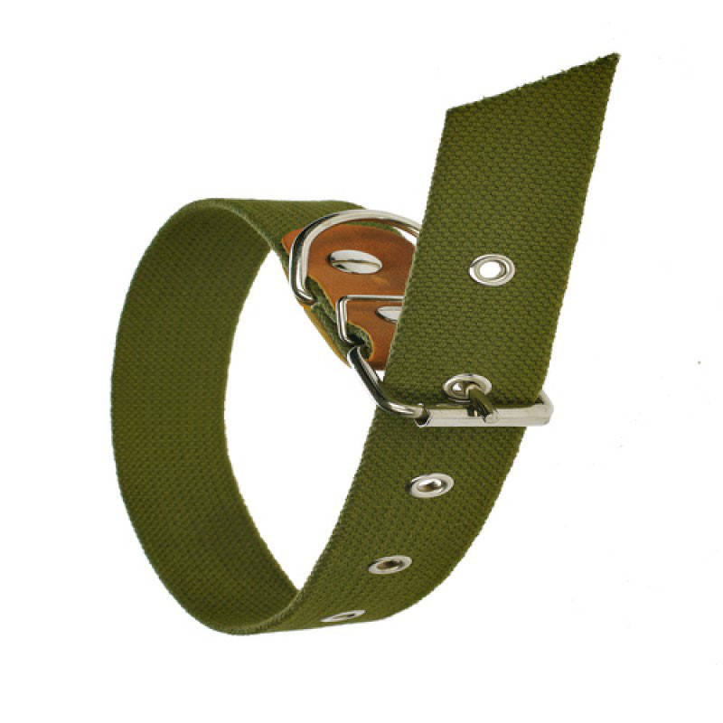 

Ошейник для собак. Ошейник брезентовый для собак. 40-55 см, Зелёный
