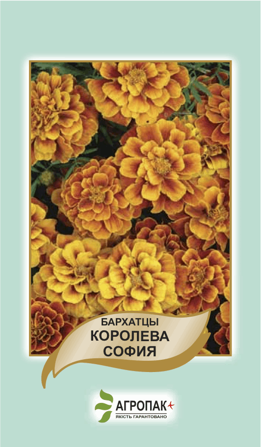 

Семена бархатцы Королева София Агропак плюс