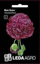 

Семена мака Блэк, 0,2 гр., пионовидный черный