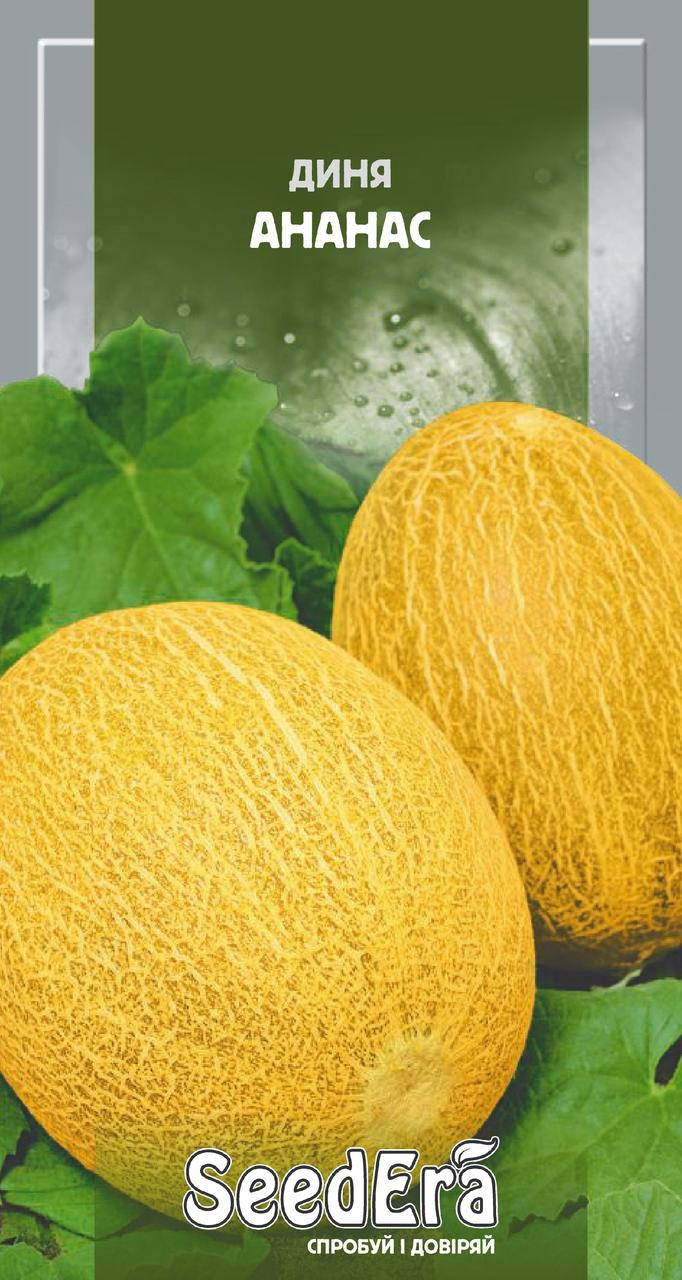 Ананас Дыня 100 Грамм Tezier Купить