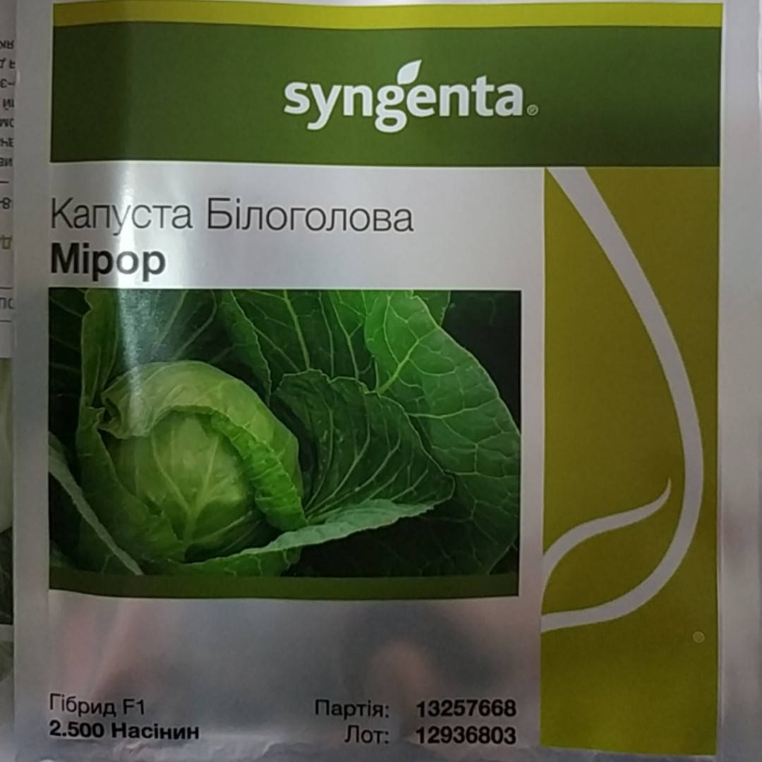 

Миррор F1 10 шт семена капусты Syngenta Голландия