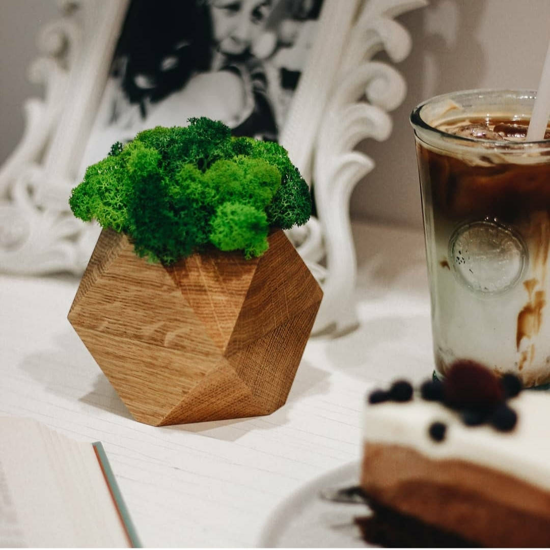 

Шестигранник деревянный 8 * 8 с комбинированным мхом