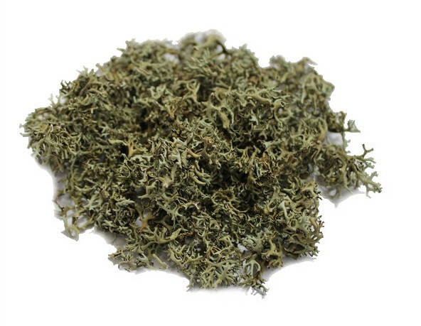 

Исландский мох упаковка 50 грамм - Цетрария Исландская