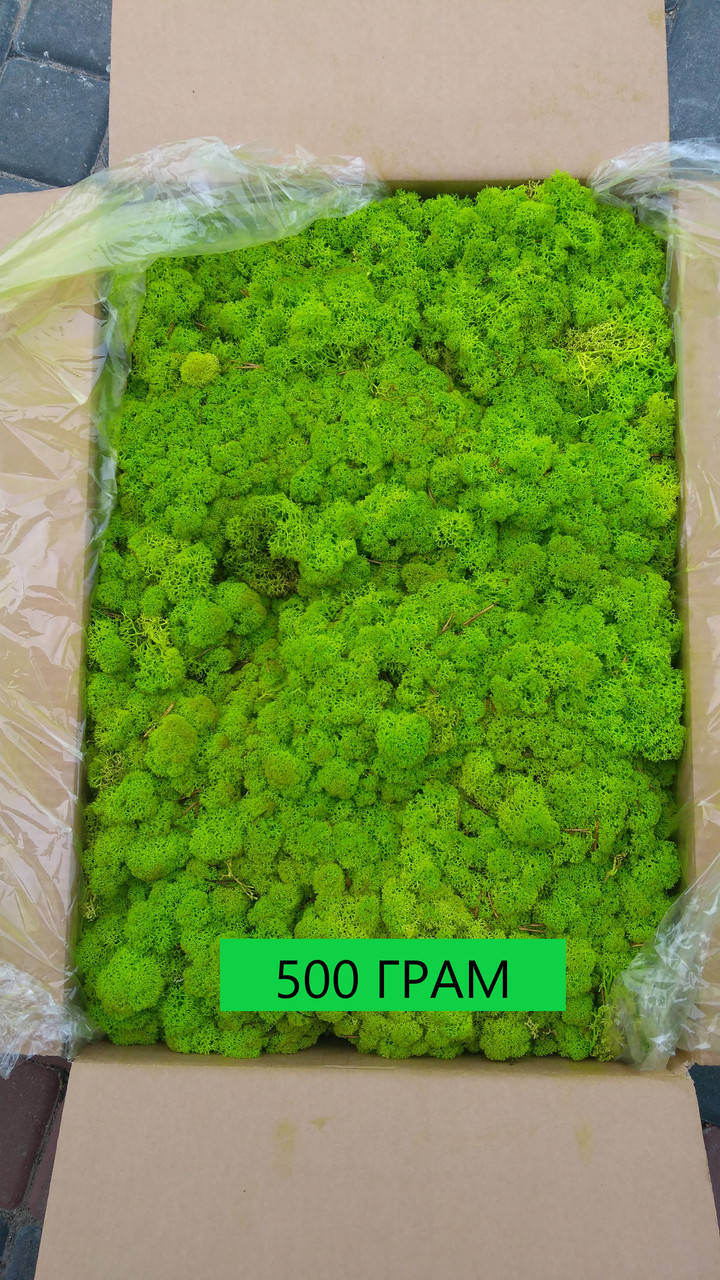 

Мох стабілізований 55 spring green. Упаковка 100 грам, Белый