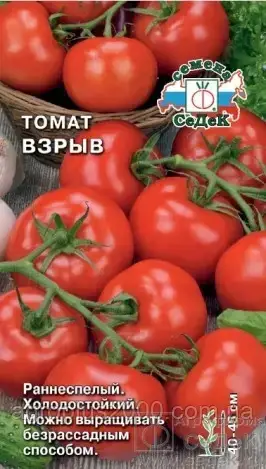 

Семена Томат детерминантный Взрыв 0,1 грамма Седек