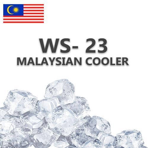 

Малазийский кулер WS-23 (Охладитель вкуса)