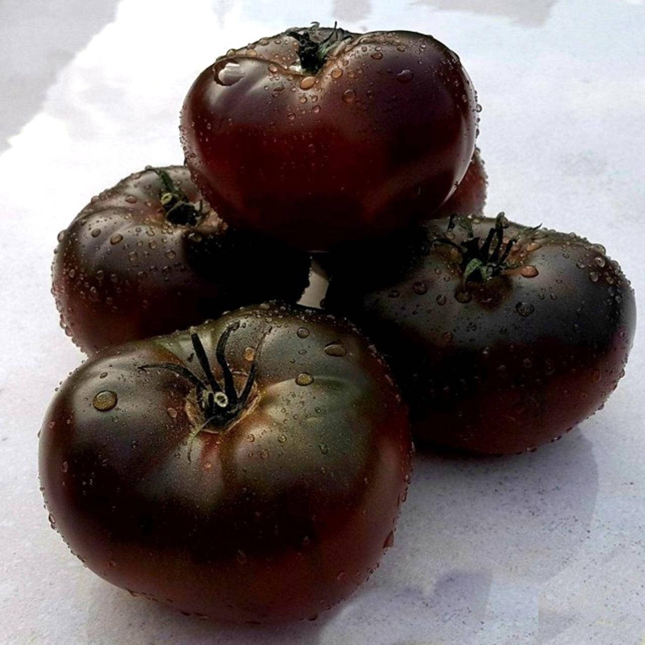 

Розовая маркиза в черном