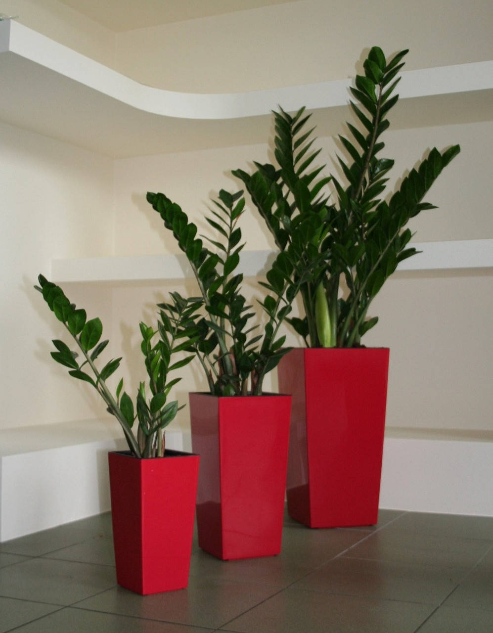 

Кашпо "Финезия" с вкладышем 19*19см, h-35,5см Красный