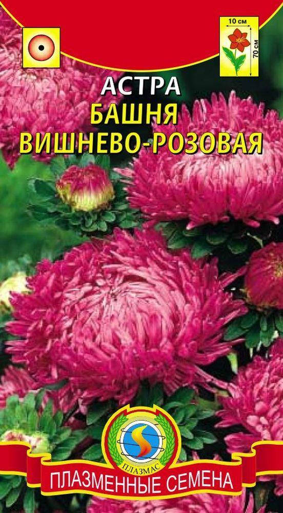

Астра Башня Вишнево-розовая 0,3 г (Плазменные семена)