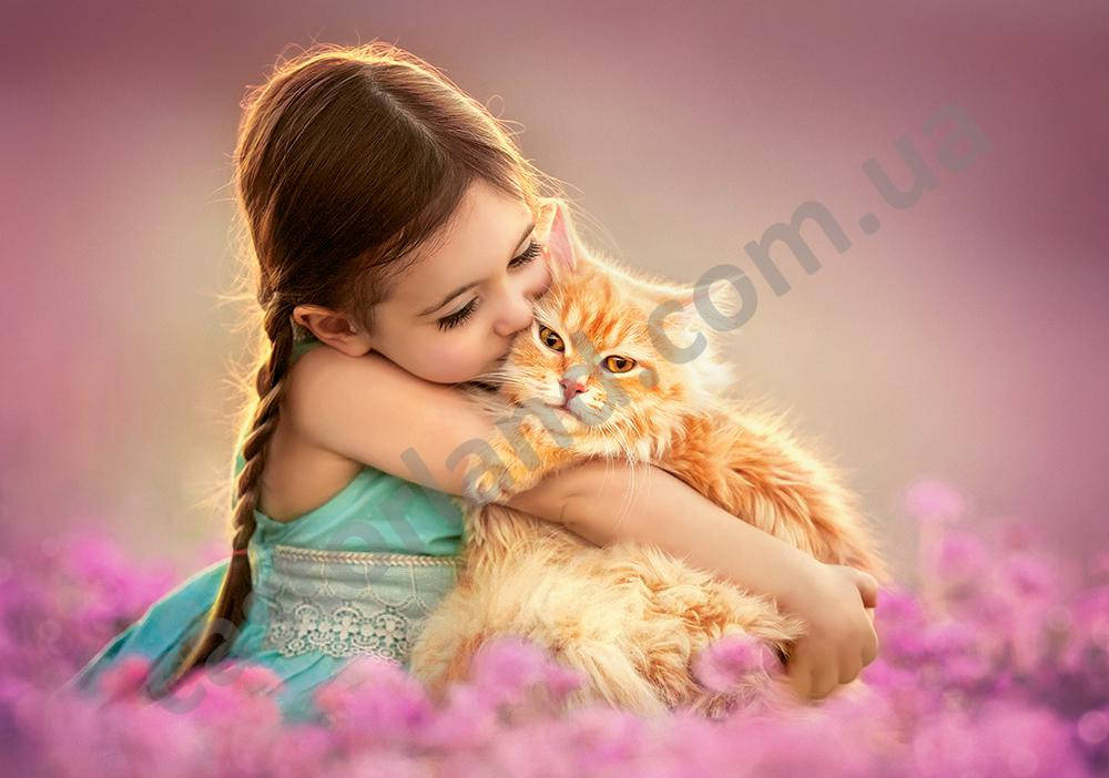 

Рыжий котёнок, 500 эл.