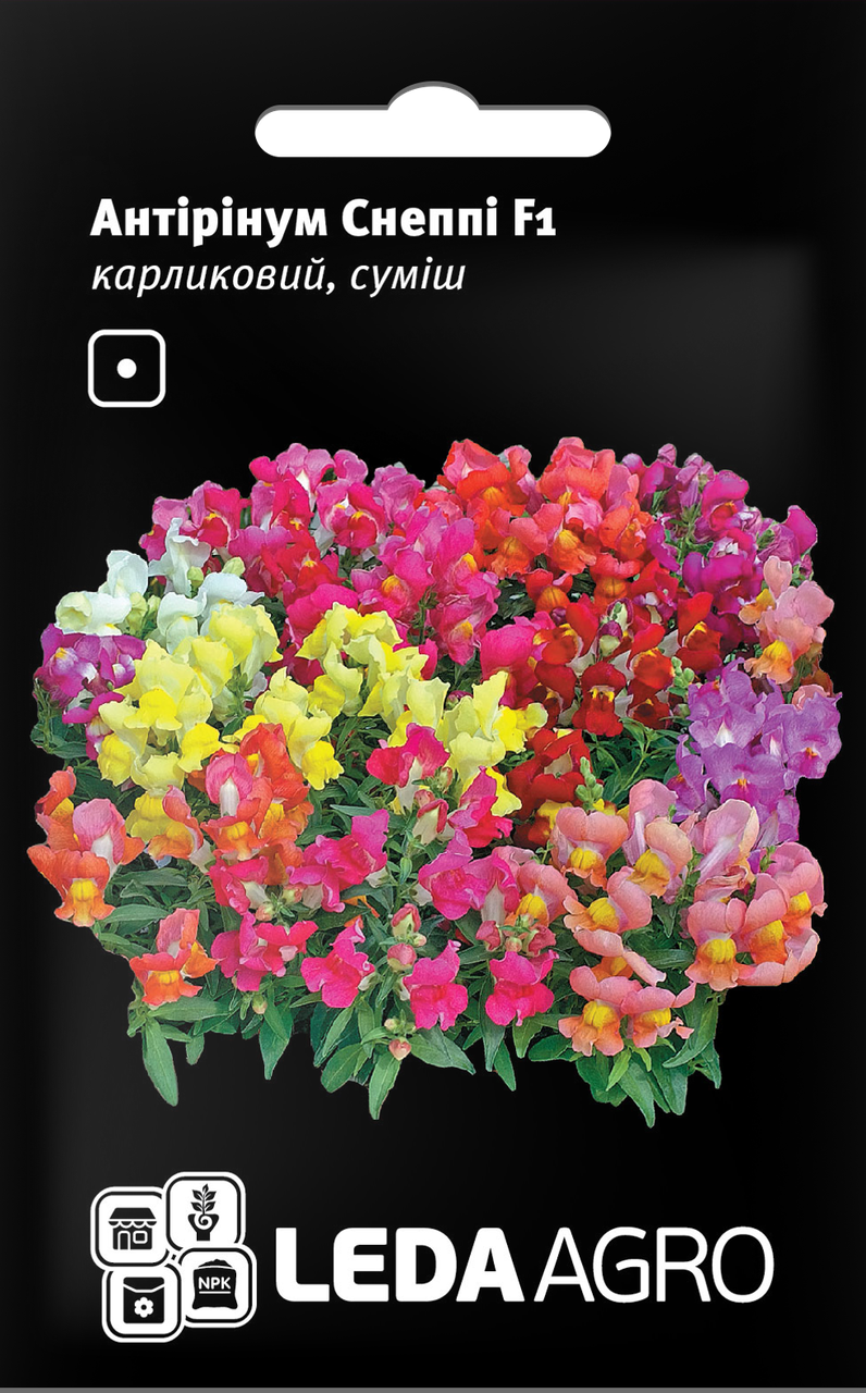 

Семена Антириум карликовый Снеппи F1 смесь 10шт LEDAAGRO