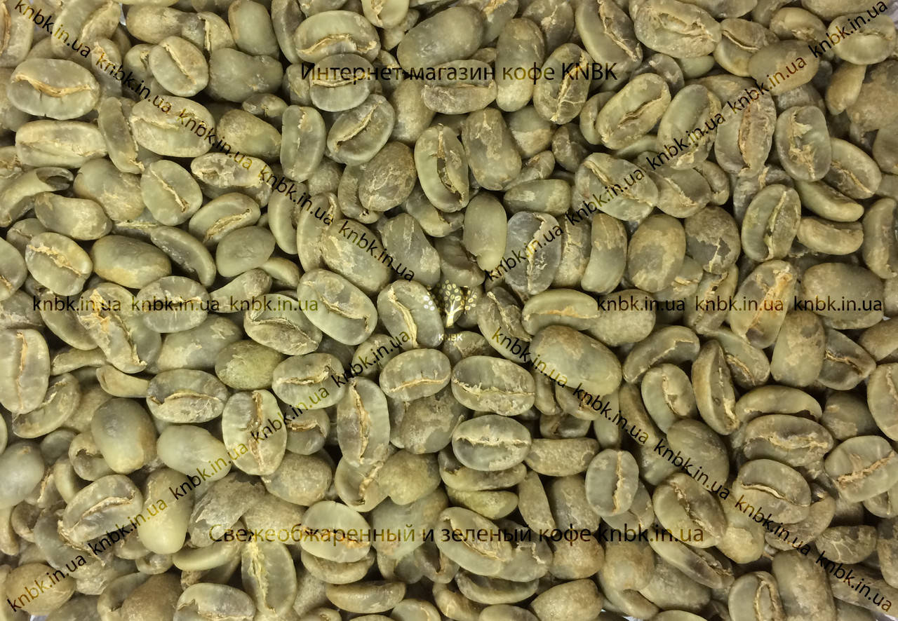 

Арабика Никарагуа Марагоджип (Arabica Nicaragua Maragogype) 1кг. ЗЕЛЕНЫЙ