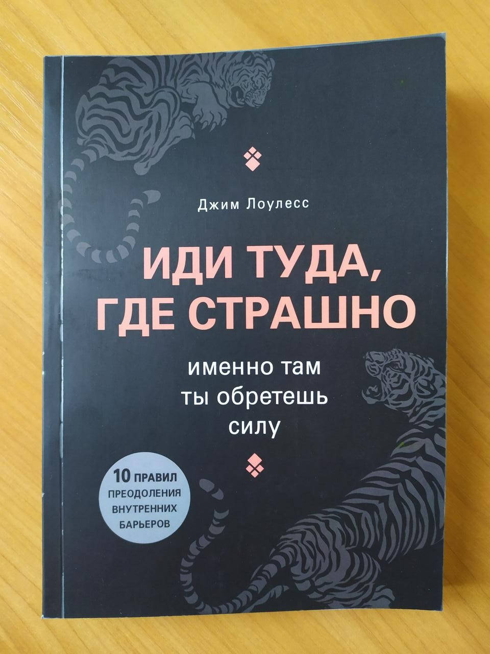

Джим Лоулесс. Иди туда, где страшно. Именно там ты обретёшь силу