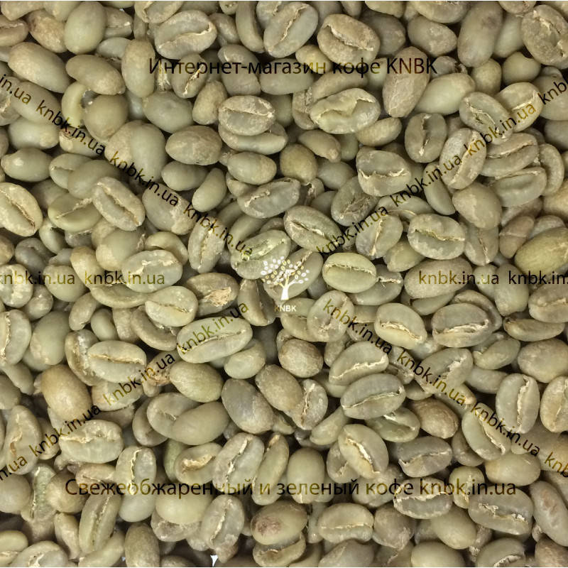 

Арабика Эфиопия Сидамо (Arabica Ethiopia Sidamo) 200г. ЗЕЛЕНЫЙ кофе