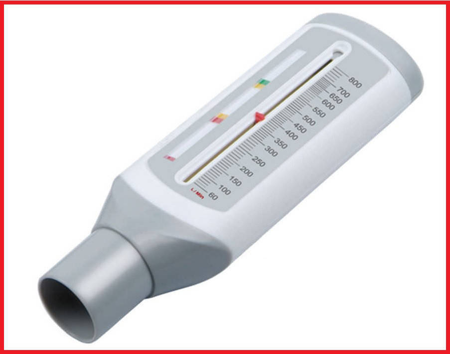 

Пикфлоуметр ROSSMAX PF120A для измерения пиковой скорости выдоха 60-800 л/мин, Швейцария TECH-MED